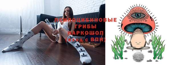 винт Дмитриев