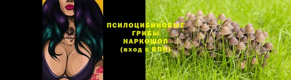 меф Дмитровск