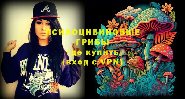 винт Дмитриев