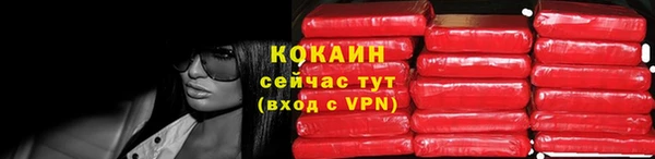 винт Дмитриев