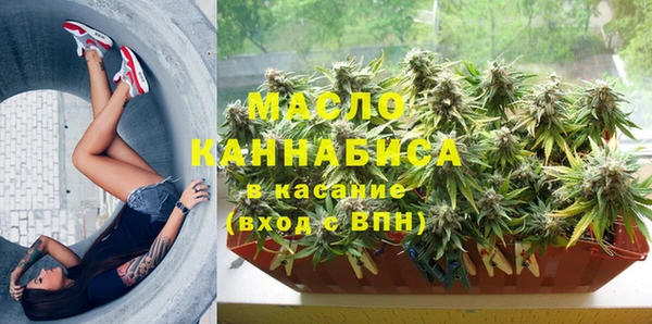 винт Дмитриев