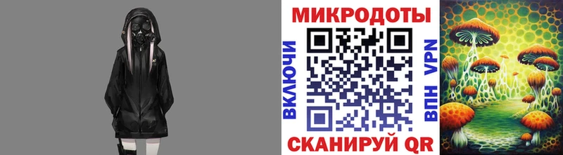 Купить  Советск  Галлюциногенные грибы MAGIC MUSHROOMS 